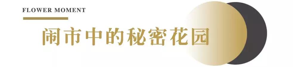 厦门这家超浪漫的鲜花餐厅,厦门最好看的花店