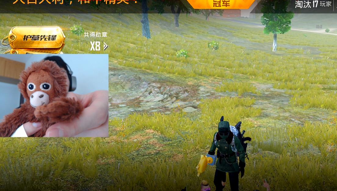 吉吉国王变大白鲨,吉吉国王有可能成为毛毛吗