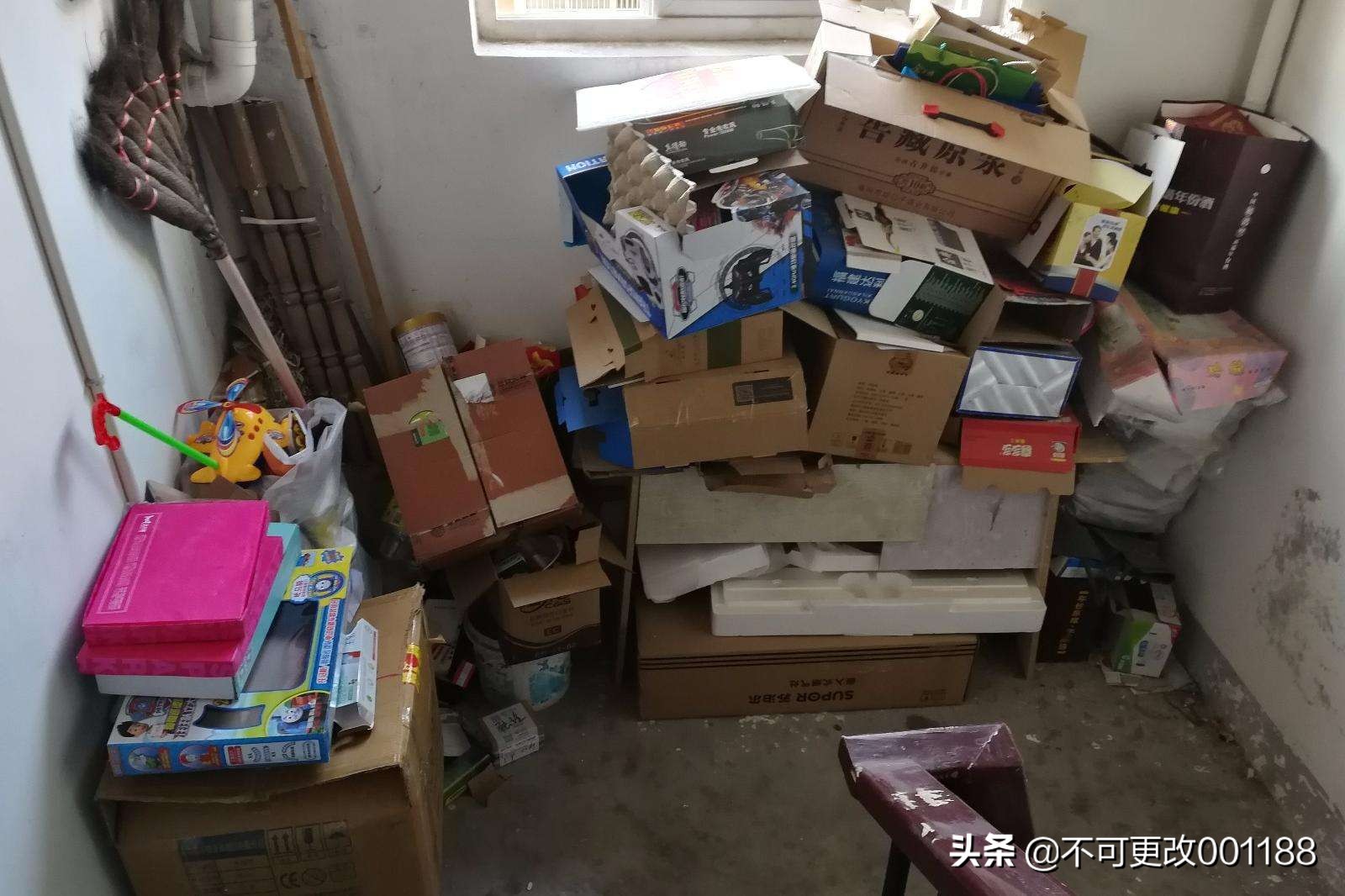 松鼠病了,有一种病叫松鼠症