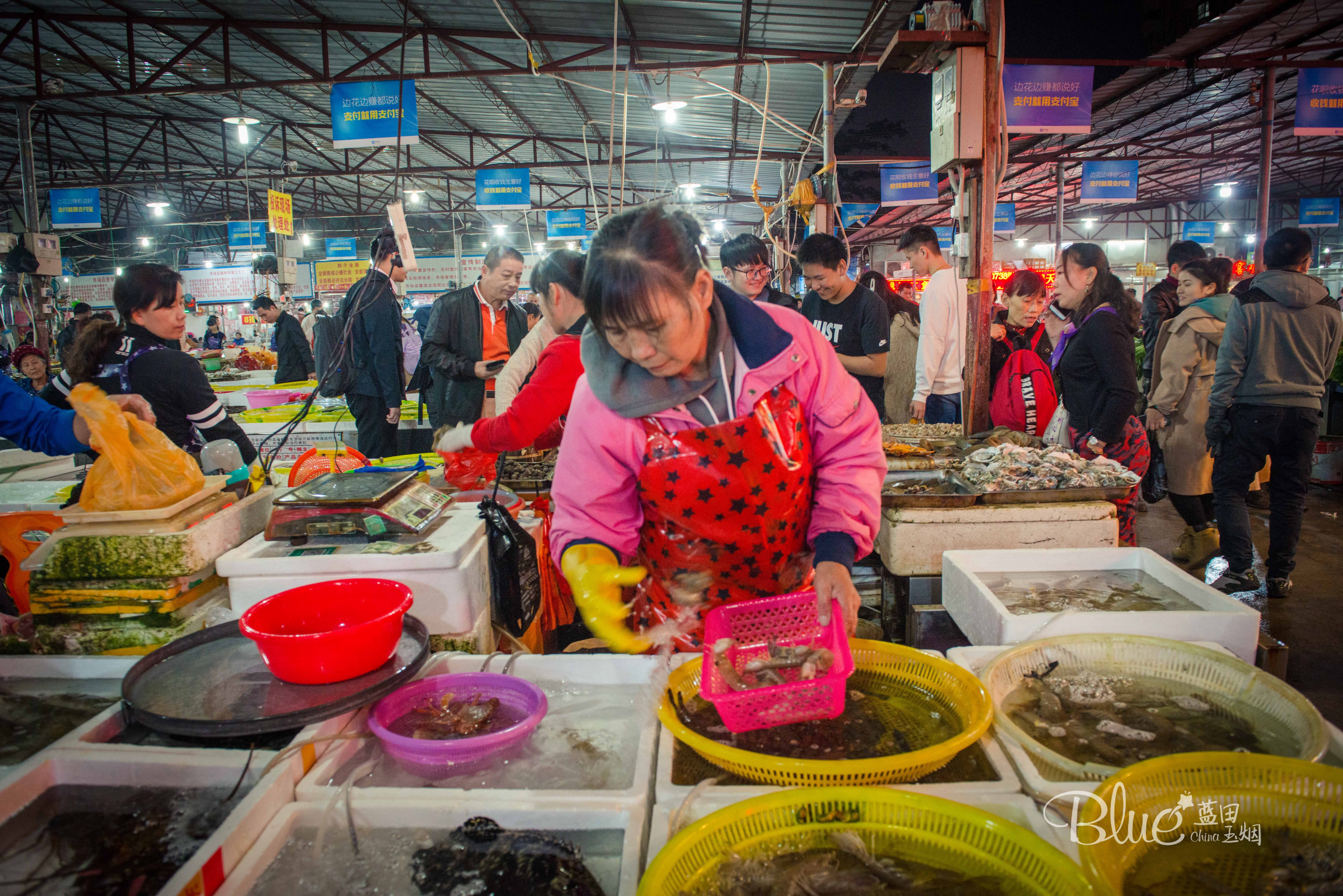 海口海鲜市场哪里比较好,海口板桥海鲜市场海鲜新鲜吗