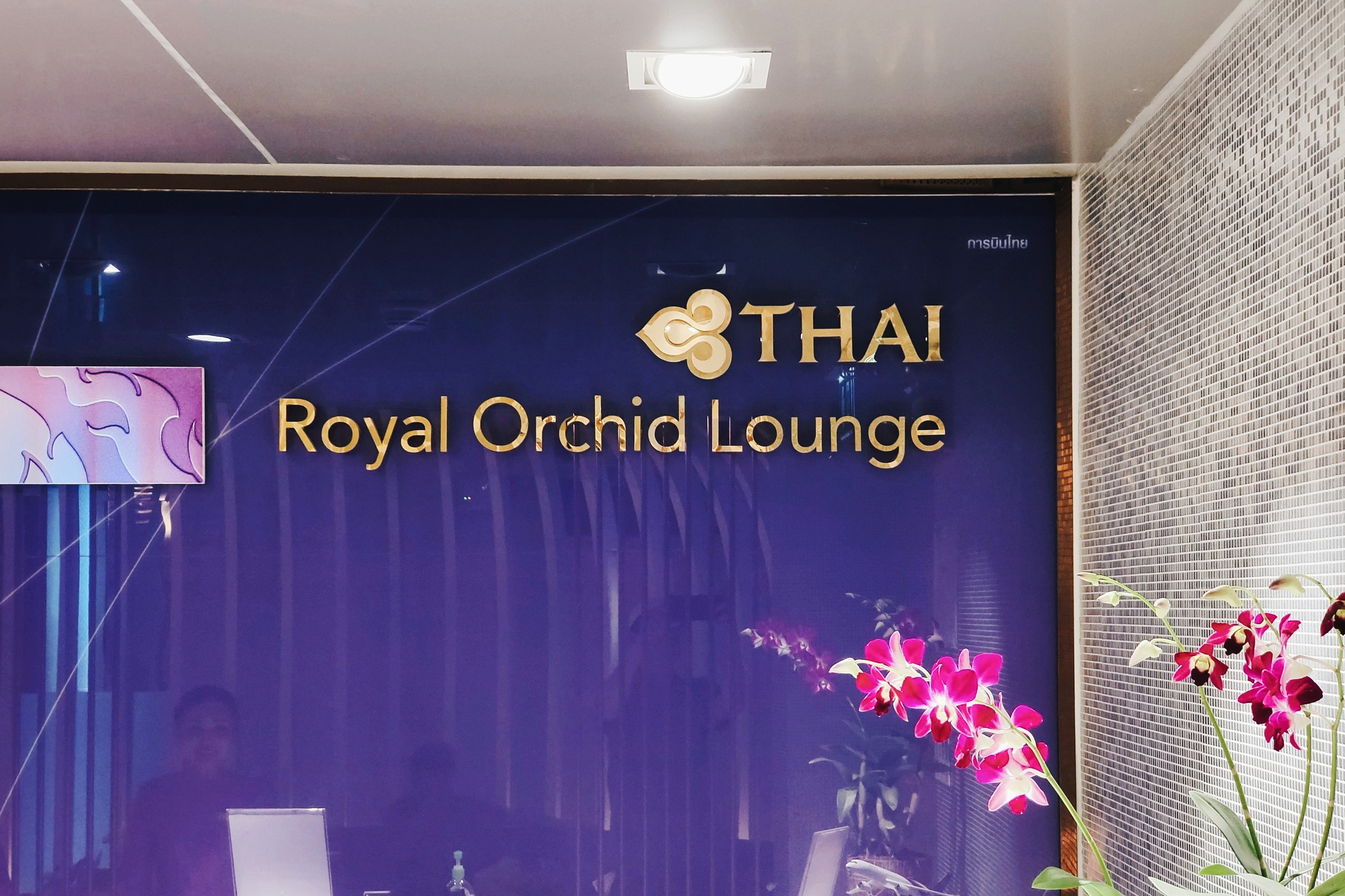 泰国航空公务舱宣传片,泰国国际航空商务舱选座