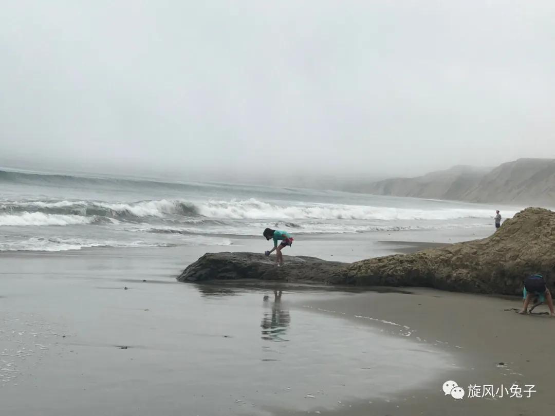 加州沿海1号公路,加州沿海一号公路一日游推荐