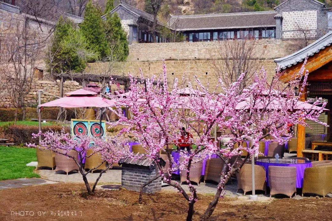 京郊童话树屋,京郊最美童话树屋
