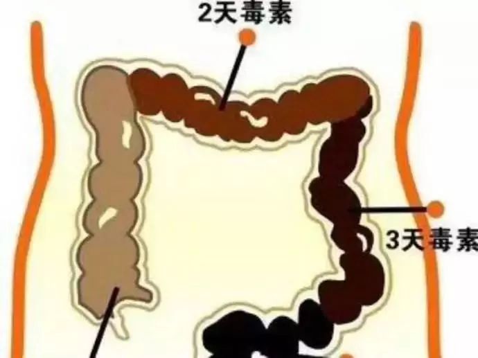 疫情蔓延，免疫力提高是关键！益生菌的秘密你应该要记住