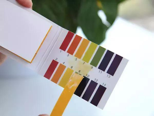 菠萝为什么会麻舌头,小孩吃菠萝舌头麻怎么回事