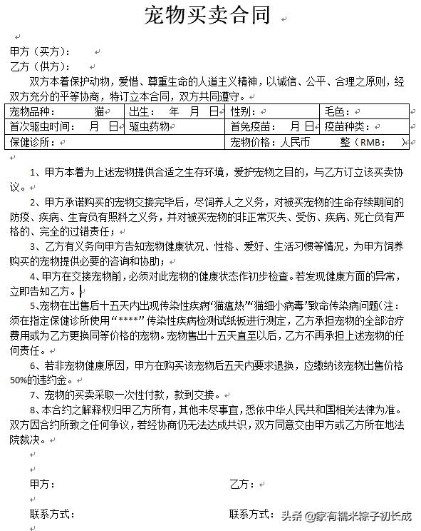 购买一只宠物猫购买前的选择过程,购买猫咪一般在网上哪里卖