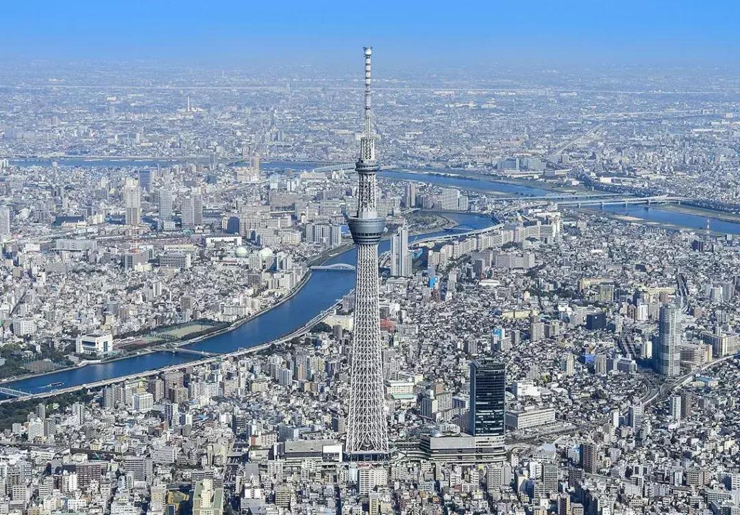 日本花粉症对策 (如何有效预防日本花粉症)