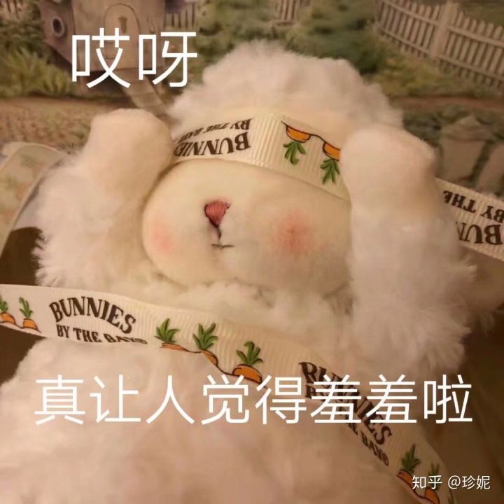 睡不着文案可爱沙雕朋友圈,可爱沙雕有趣的朋友圈文案短句