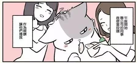 假如自己变成猫是什么体验,从人类变成猫是什么体验