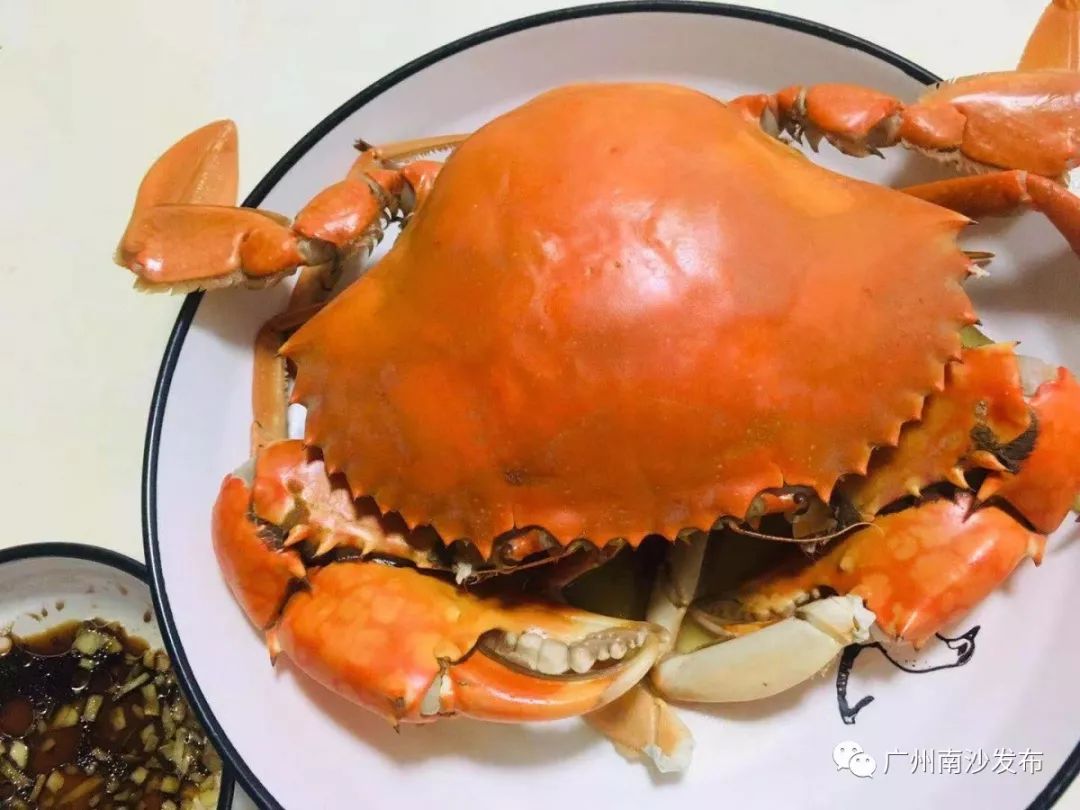 鲜活花盖蟹海鲜直播卖货,新鲜海蟹直播卖货