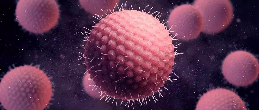 恶性卵巢癌已扩散一般能活多久,卵巢癌最新临床消息