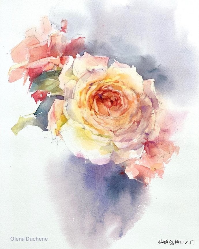 唯美写意水彩花卉,各种水彩花卉的表现技法学习吧