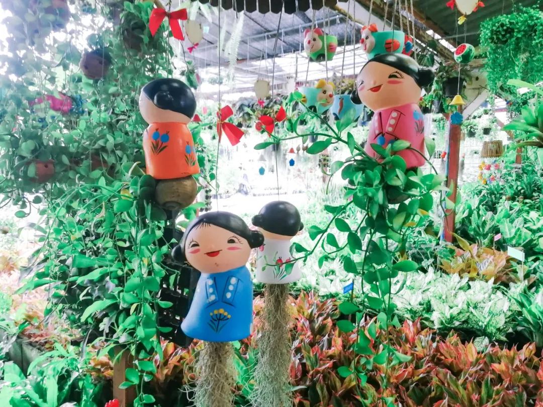 清迈的现状,清迈重逢