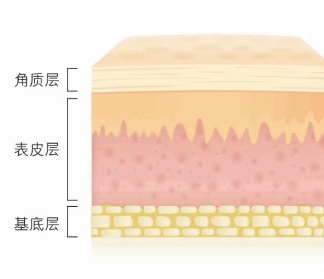 谷雨美白精华能变白吗,什么加美白精华可以变白