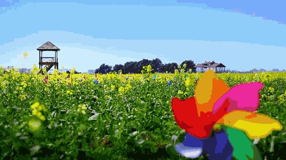 马鞍山滨江公园樱花开了吗,马鞍山雨山樱花