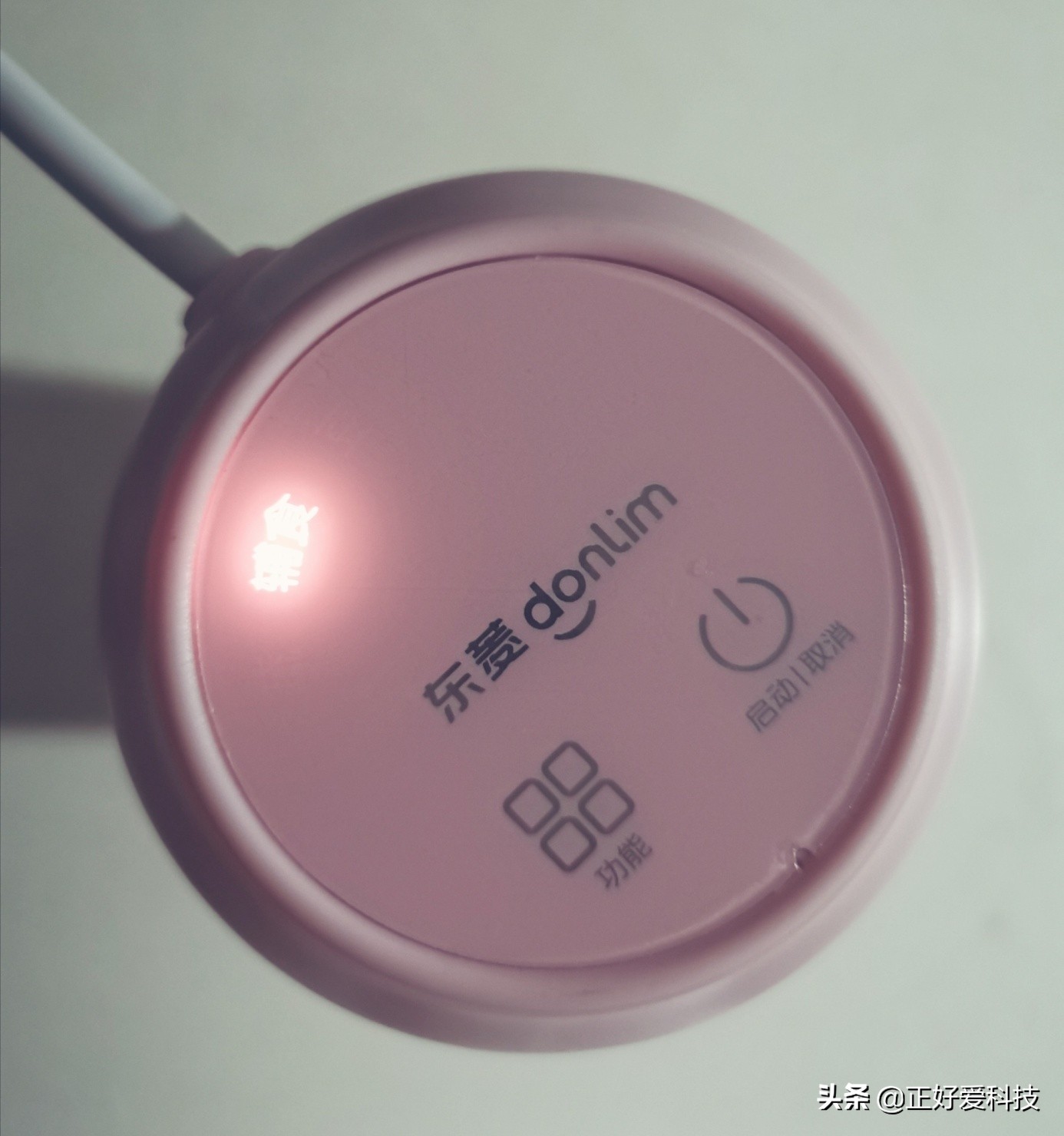 口袋养生，把你捧在手心里，东菱轻食杯VS九阳魔法豆迷你豆浆机