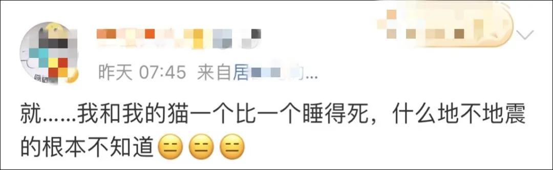 猫地震的时候没有反应,地震了猫会有反应吗