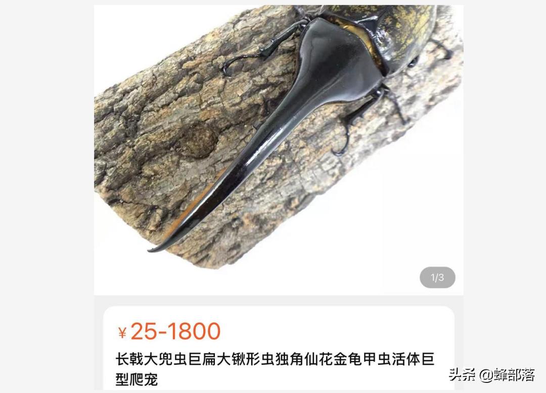 农村人小时候玩过的玩具,农村人以前的玩具