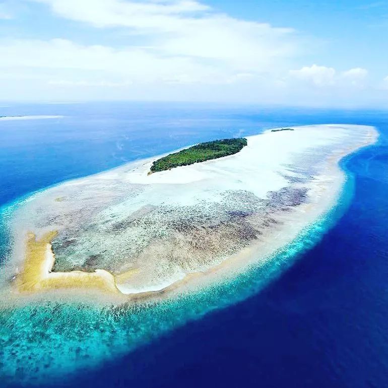 吃19块钱的海鲜自助,深圳133块钱海鲜吃到爽