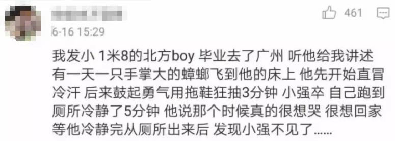 南方蟑螂和北方蟑螂对比恶搞,南方大蟑螂吓哭北方人