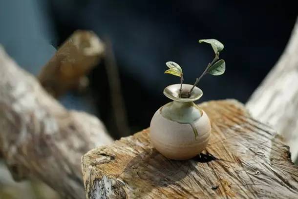 文章江湖就是人情世故,人情世故亦江湖美文