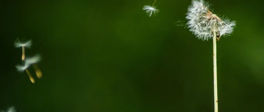 中考语文易错成语分类整理图片,中考易错成语题成语归纳