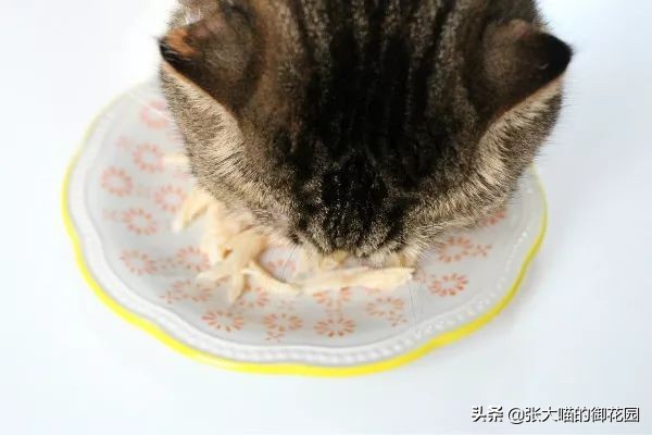 网易严选猫罐头试吃,猫咪零食罐头网易严选