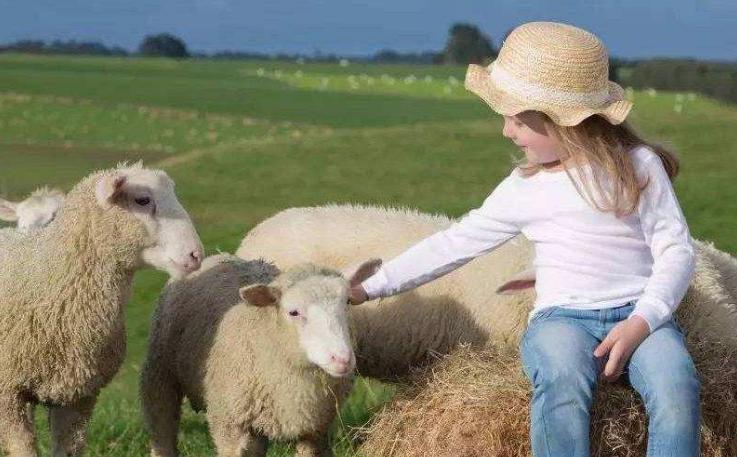 母乳牛奶羊奶营养价值对比表,羊奶和牛奶哪个营养更全面