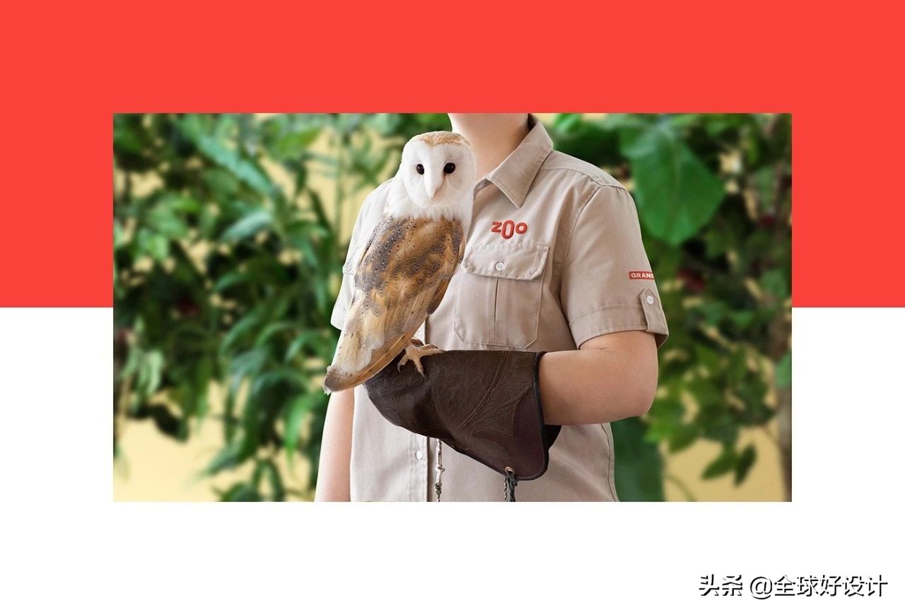 看看设计大师是如何玩转色彩的,外国设计师品牌设计