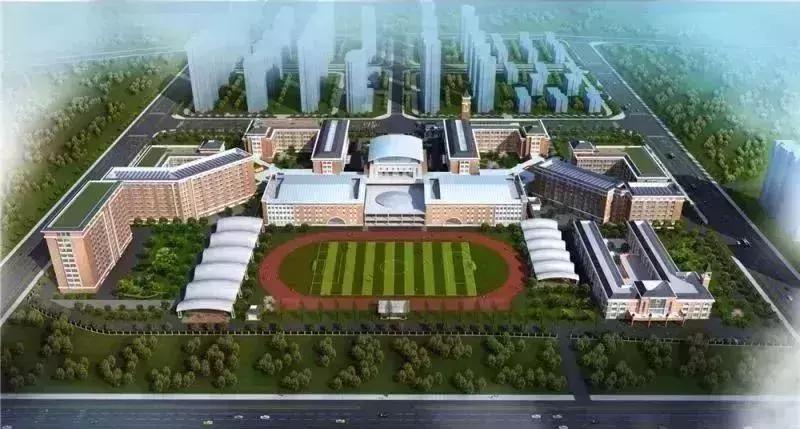 新站未来的潜力板块在哪里,新站发展最新消息