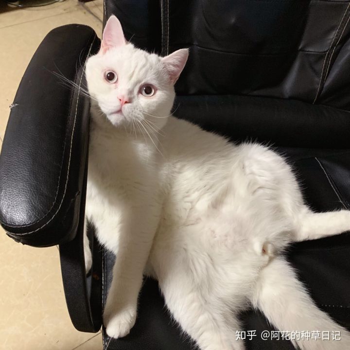 冬天实用生活好物,还有哪些实用的过冬好物