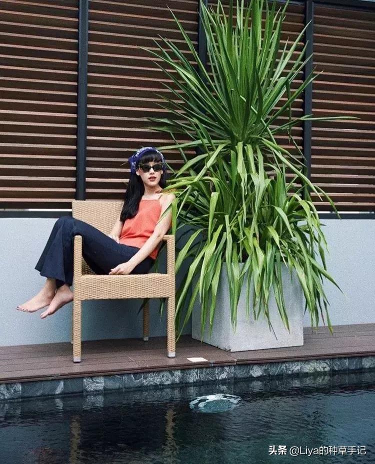 今年爆火的脏橘色,2019超in脏橘色千万别穿会上瘾