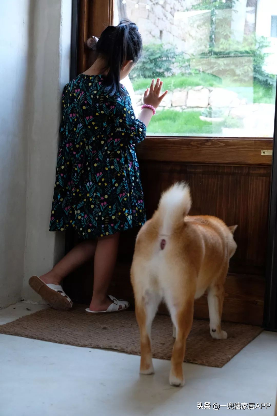 简单零成本改造农村小院,三个多月农家小院改造终于完工