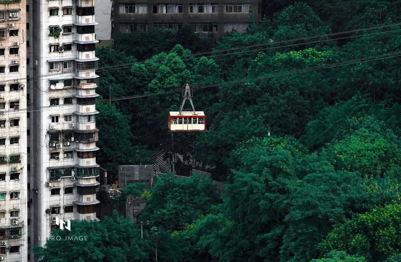 嗜辣如命咋办,嗜辣如命什么意思