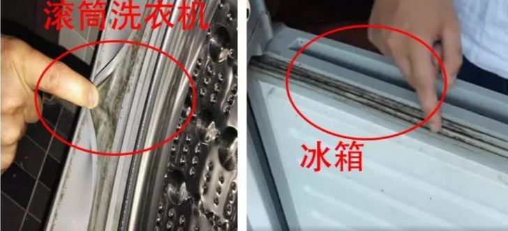 清洗霉斑家用除霉膏,家庭除霉妙招测评