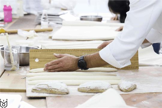 技术进阶+参观魔法森林，每个班长都值得被宠爱