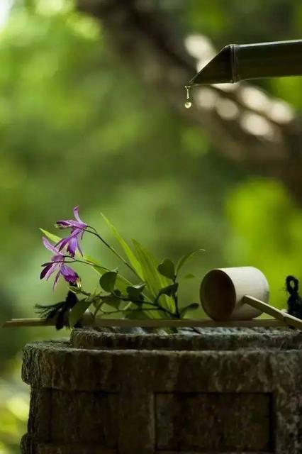 鏁ｆ枃鍐ぉ鐨勯,鏆栨殩鐨勯鏁ｆ枃