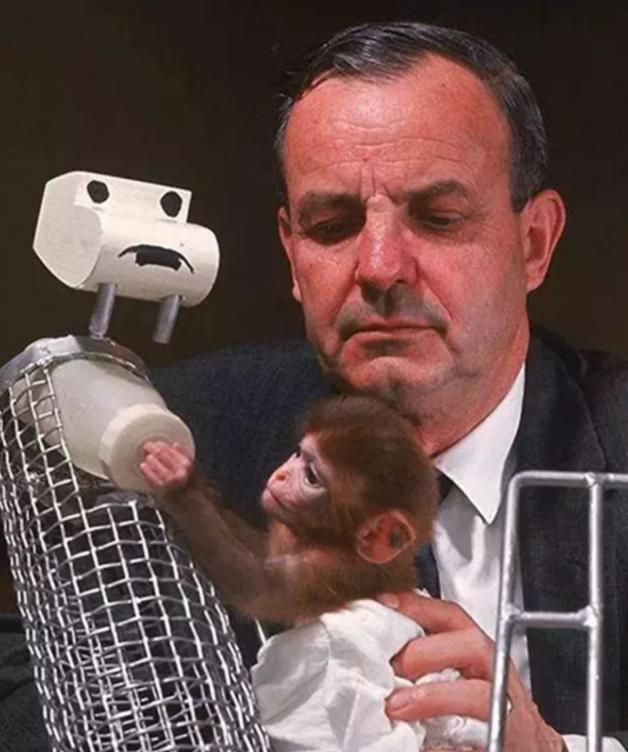 恒河猴实验与孩子教育 (恒河猴实验说明孩子对母亲的需要)