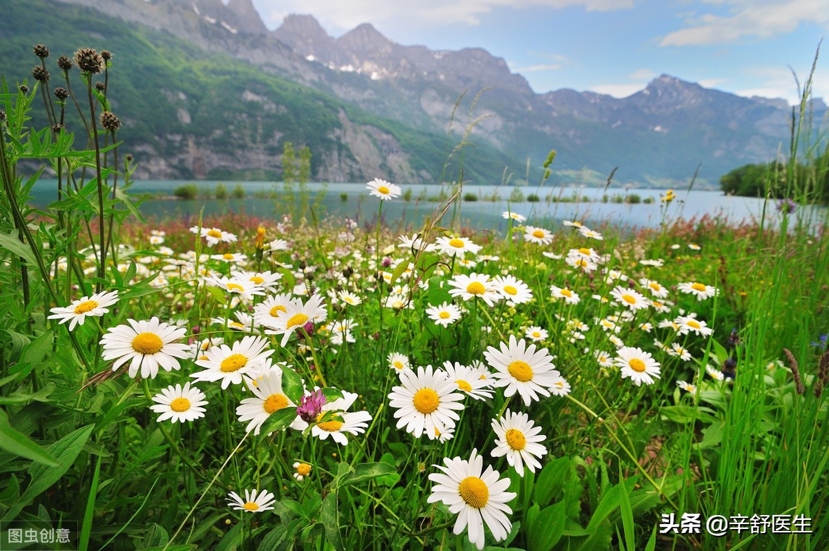 宫颈癌筛查故事之三：坦诚交流，医患互信，免去一次宫颈治疗