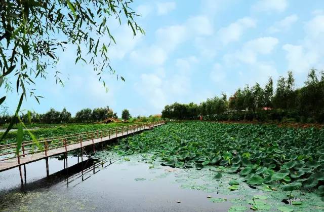 哈尔滨一座不用担心温饱的城,哈尔滨是一个硬核的城市