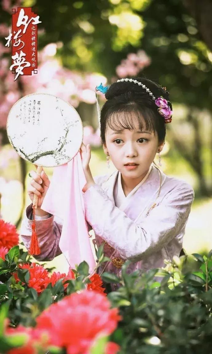 红楼梦生僻字字词注释,红楼梦中的生僻字大全