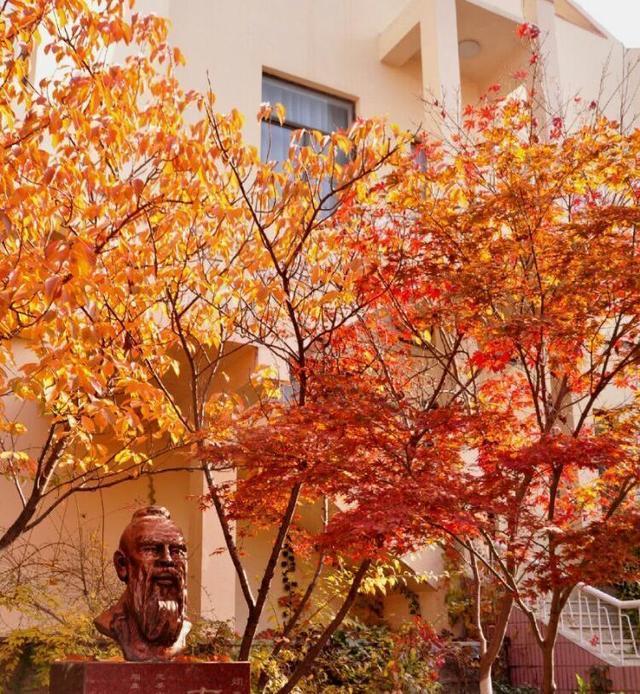 烟台历年高考前十名,烟台高考前十学校
