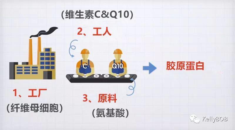 真黑黄皮逆袭到白皮的十年美白路,黑黄皮逆袭冷白皮详细方法