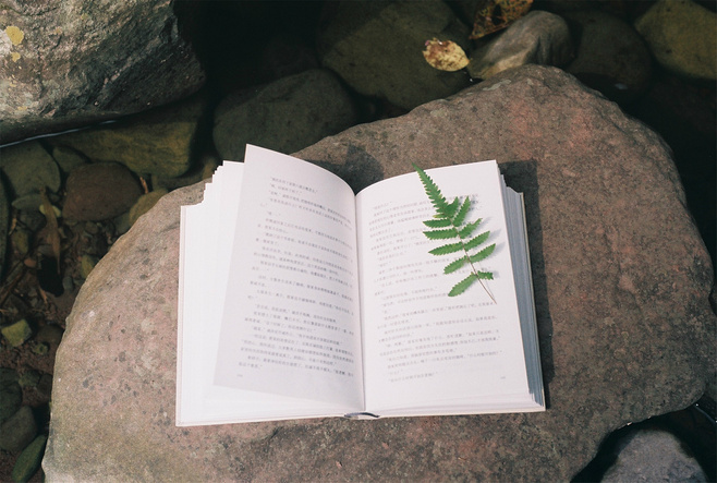 《幽梦影》：古书中的清凉散，教你领略生活的小确幸