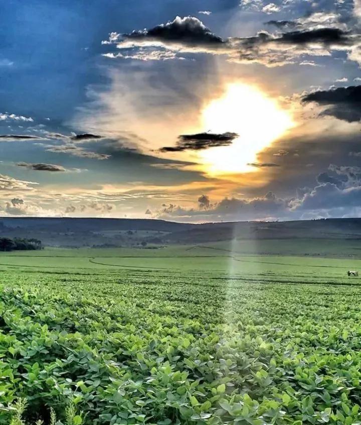 用钱去做农业会怎样,去农村搞种植业投资怎样做最好