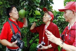 国庆大成都内二日游,国庆大假5天自驾游