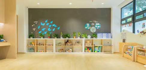 最贵的幼儿园学费多少,有钱也难读的私立学校