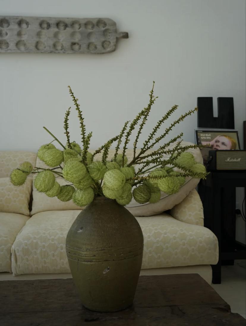 家里要有氛围感什么花比较好,家里高级的花