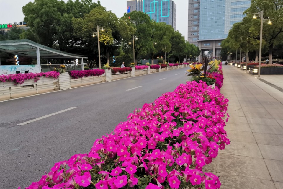 南京天印湖公园,江宁区大学城天印湖公园