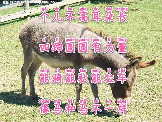 常与孩子猜谜100条儿童谜语建议,儿童睡前谜语简单易懂大全